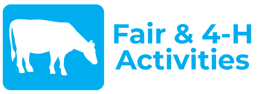 Fair-4-H-Activities-1